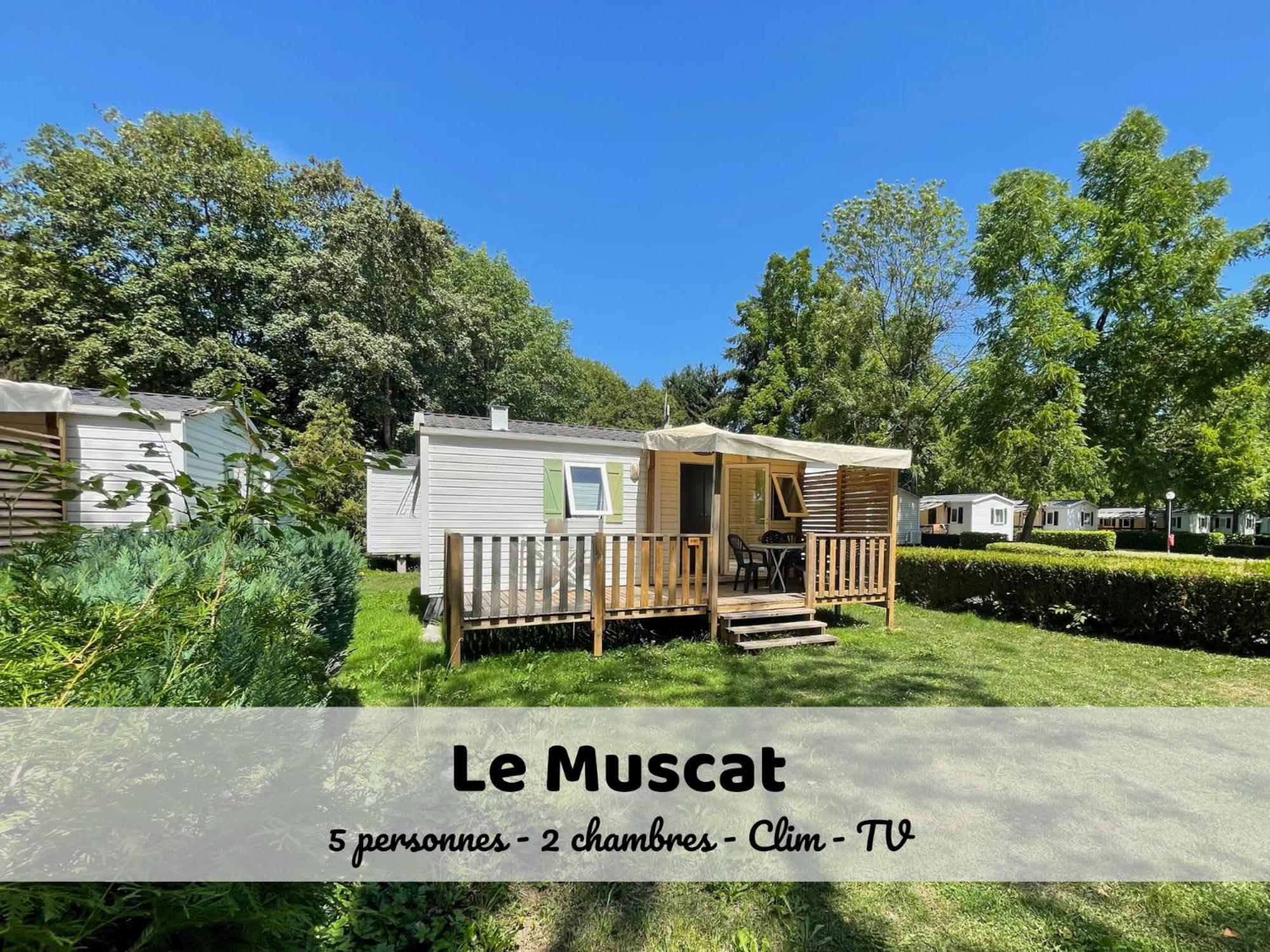 Le Muscat - Bungalow Pour 5 - Tv - Clim Boofzheim Habitación foto